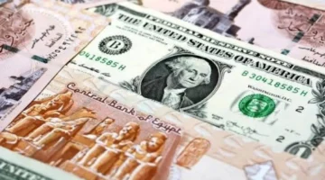 تحرك جديد بالبنوك.. سعر صرف الدولار مقابل الجنيه في تعاملات الأربعاء